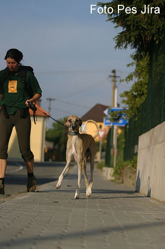 Fryšták 2006 (1).jpg