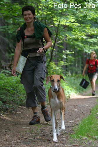 Fryšták 2006 (9).jpg